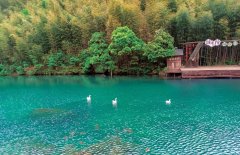 拥抱春天—庐峰交通四月踏青之旅