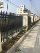 安徽庐峰交通工程有限公司植树节活动