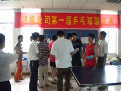 2009年7月乒乓球比赛
